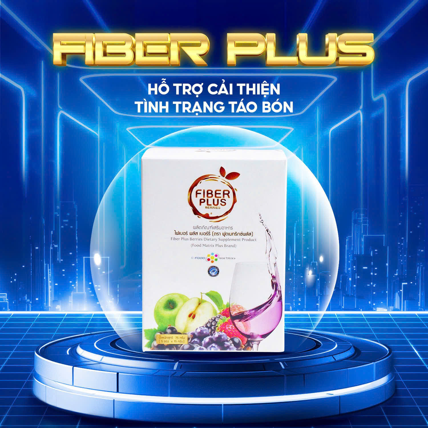 Flber Plus